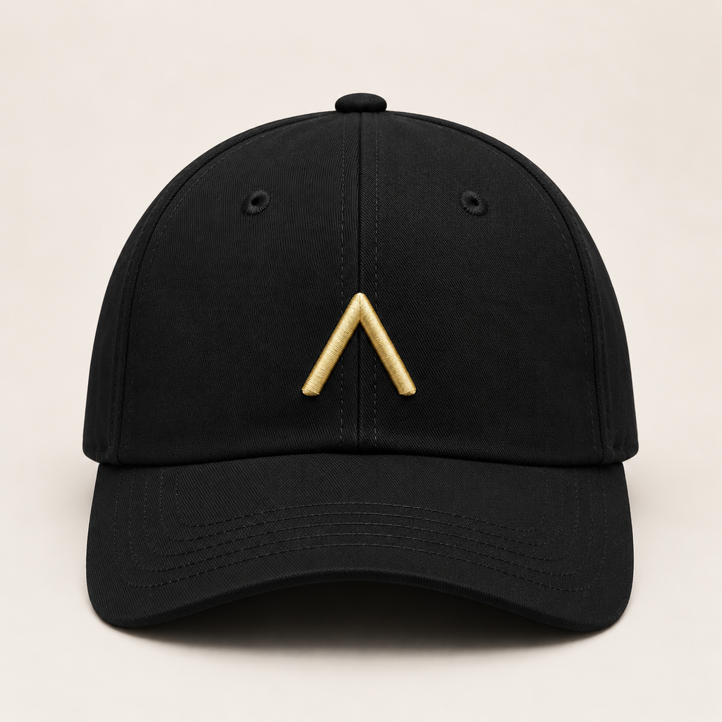 AVRO Cap Schwarz